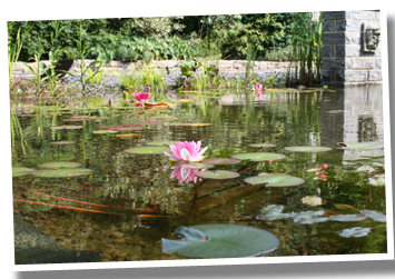 Garten- und Landschaftsbau